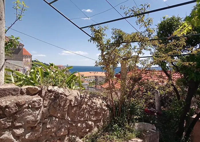 Casa de hóspedes Summer Day