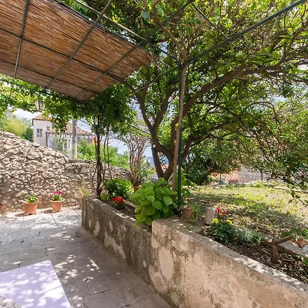 Summer Day Ragusa