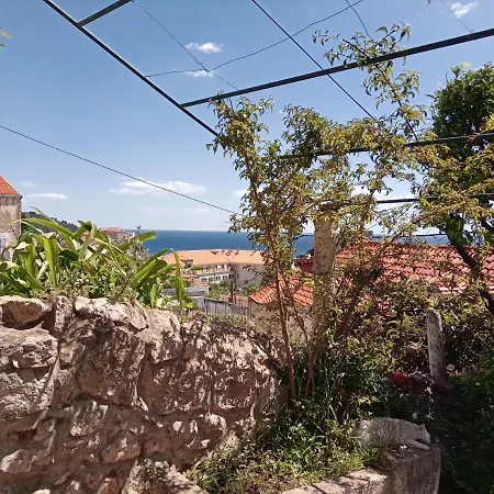 Guest house Summer Day